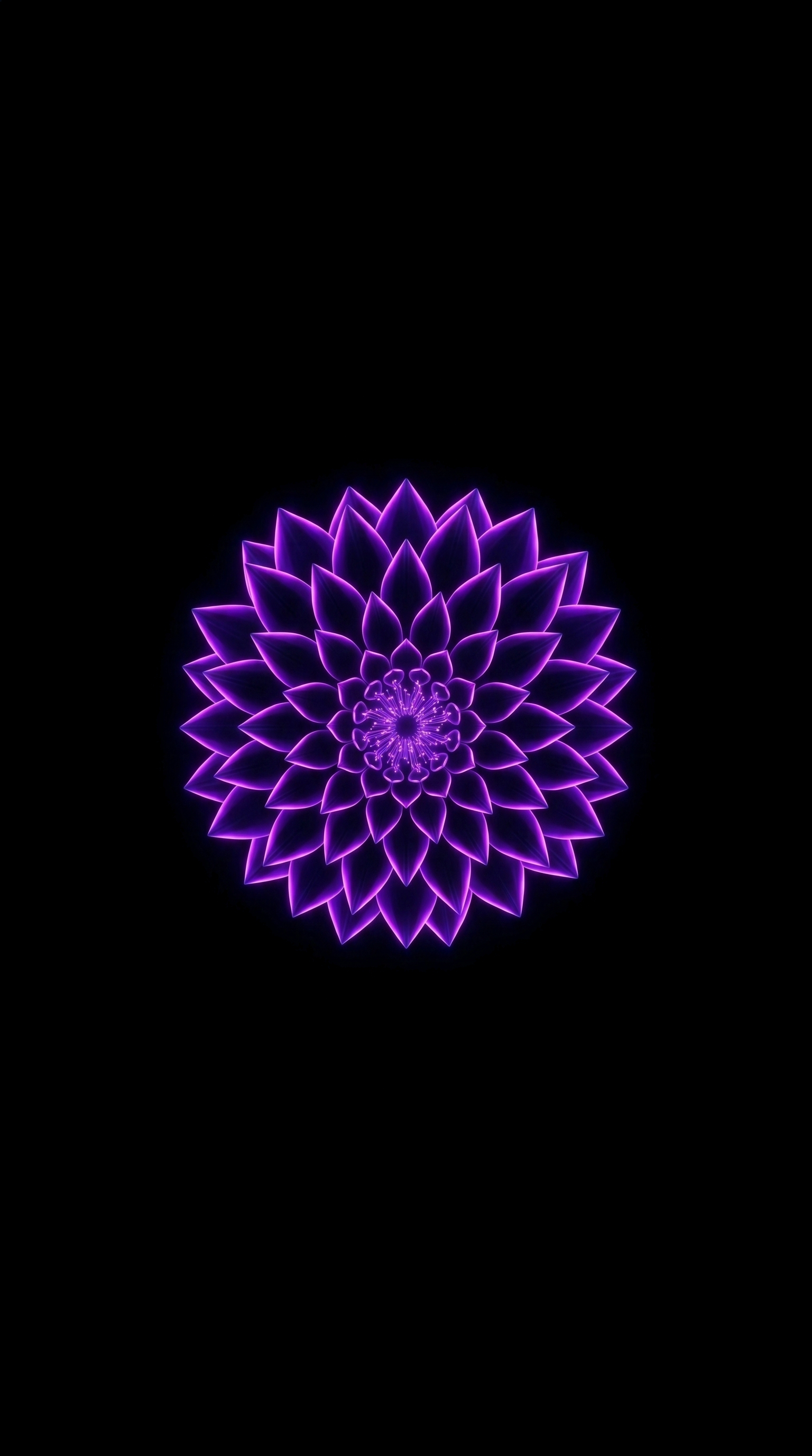 Dahlia Flower Glowing Neon Light